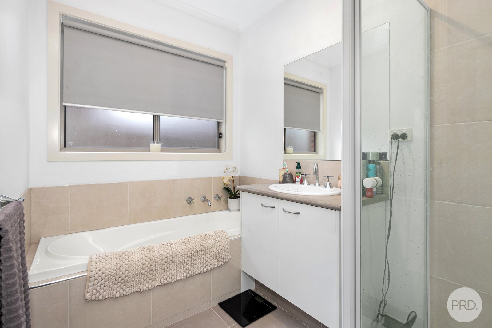 307B Clayton Street CANADIAN 7