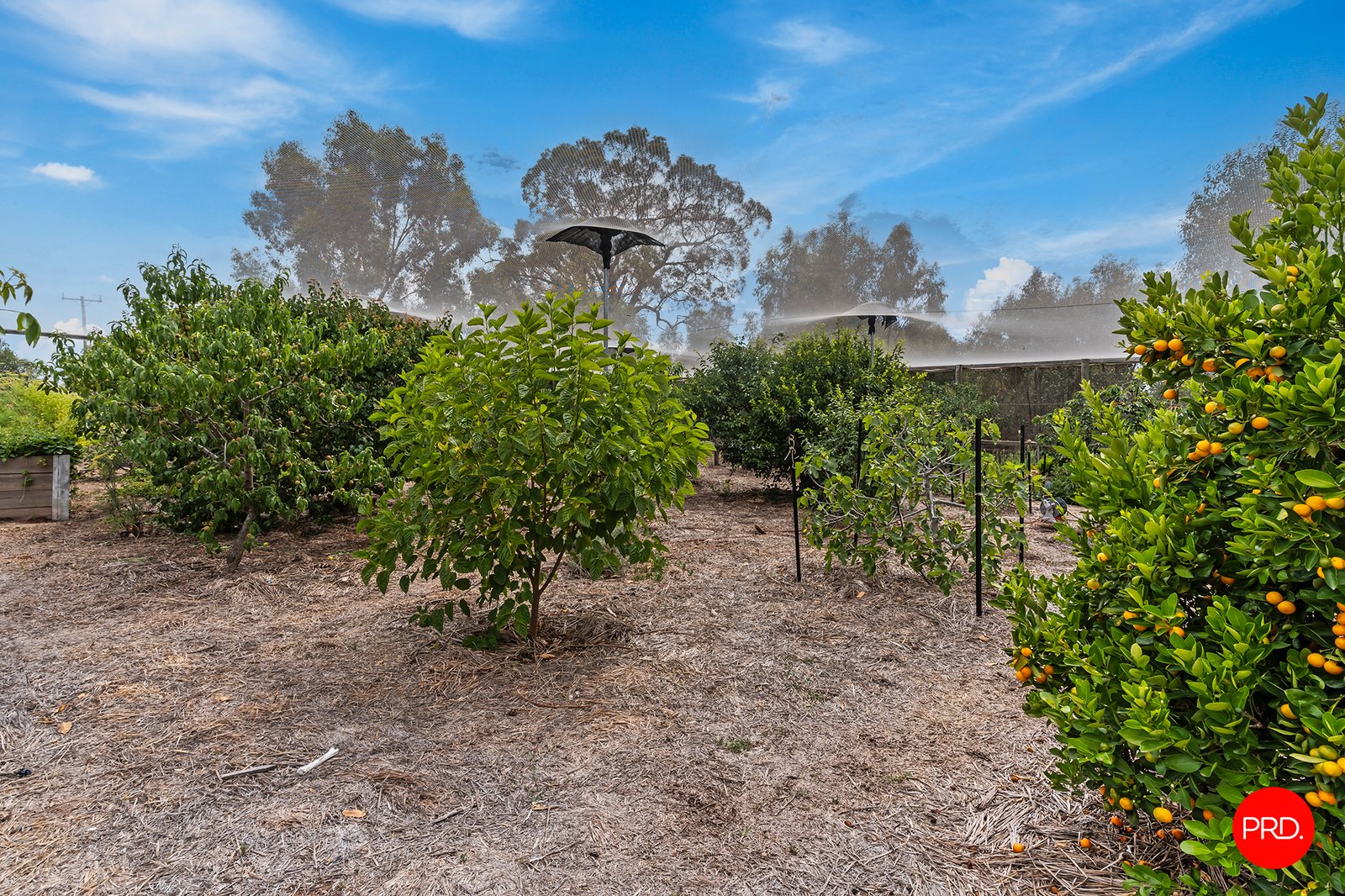 31 Axedale Quarry Road KNOWSLEY 26