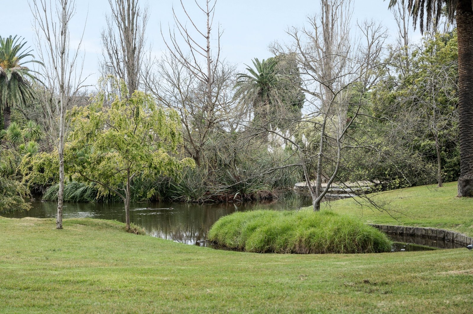 Real Estate and Property in 31 Brunel Street, Malvern East, VIC