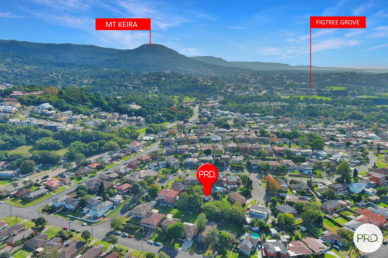 31 Burgess Avenue FIGTREE 11