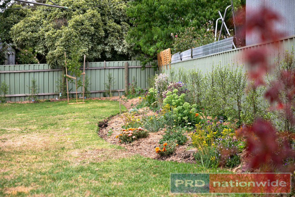 31 Burke Street BEAUFORT 14