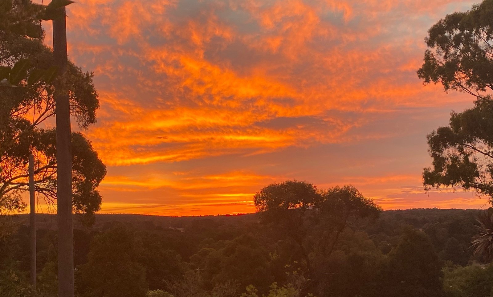 31 Burke Street CRESWICK 5