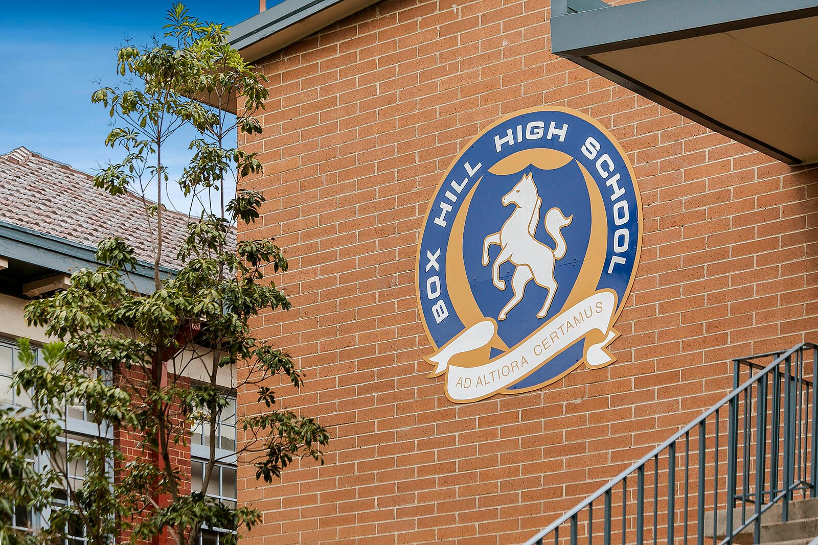 Real Estate and Property in 31 Byron Street, Box Hill South, VIC