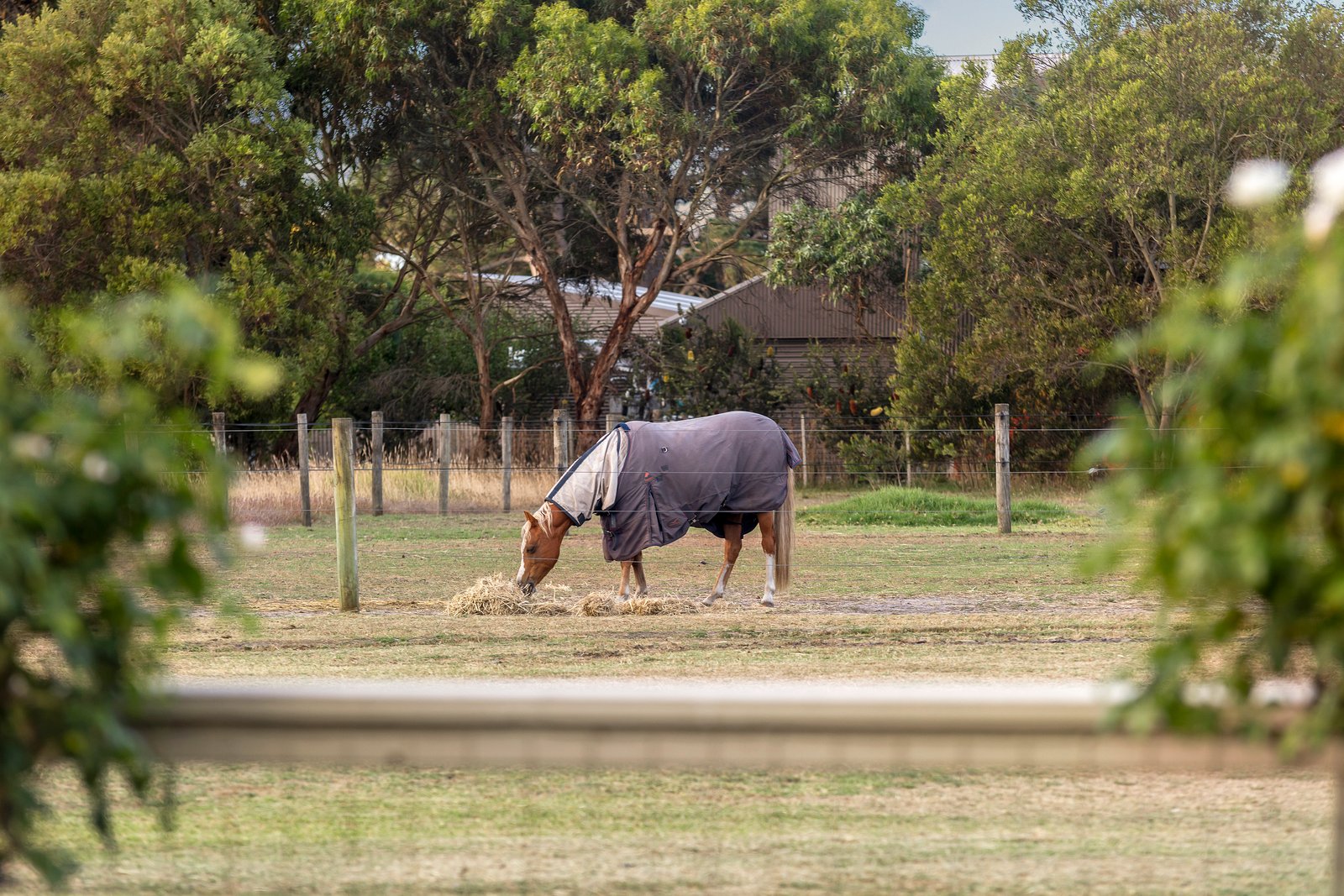 Real Estate and Property in 31 Caldwell Crescent, Wallington, VIC