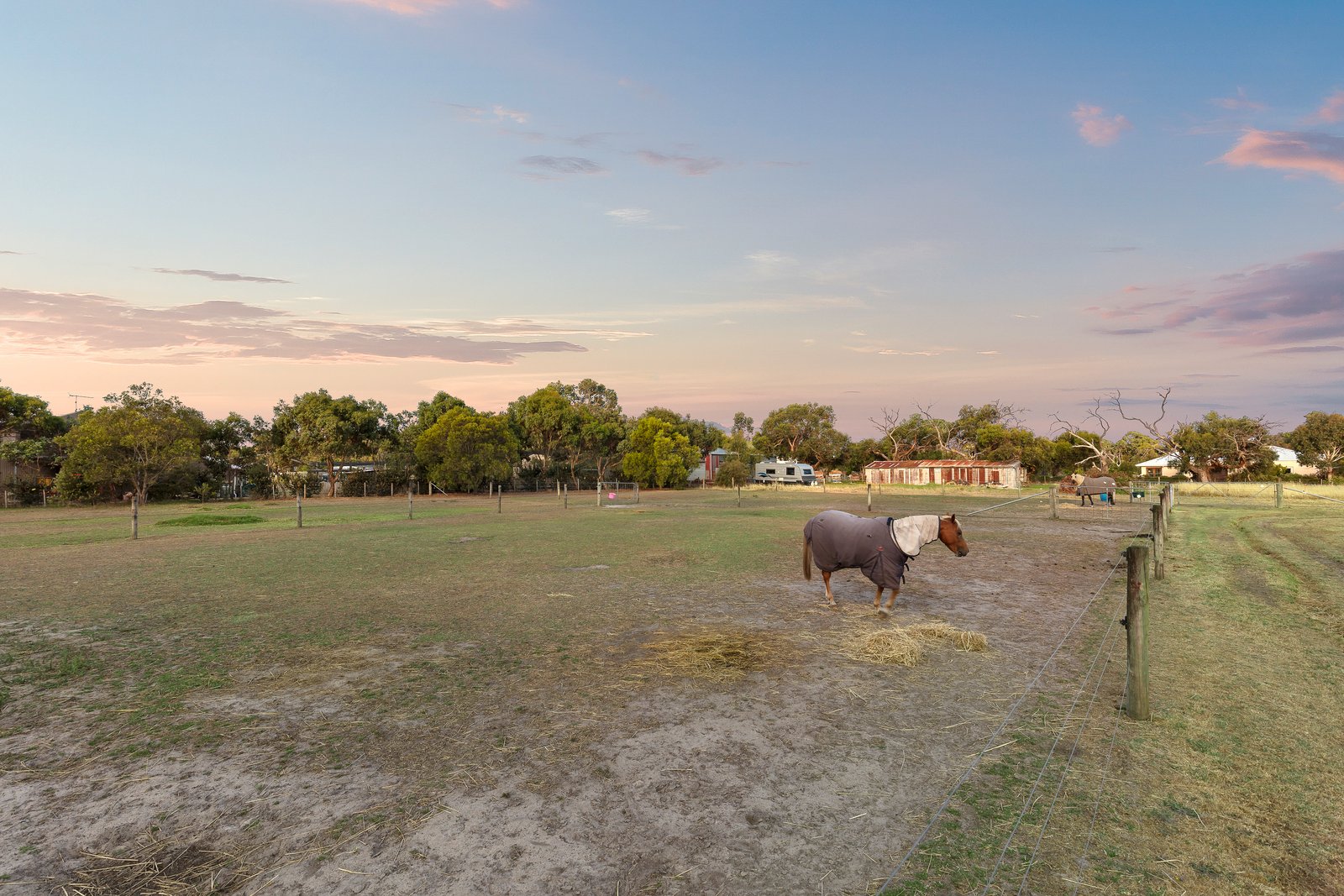 Real Estate and Property in 31 Caldwell Crescent, Wallington, VIC