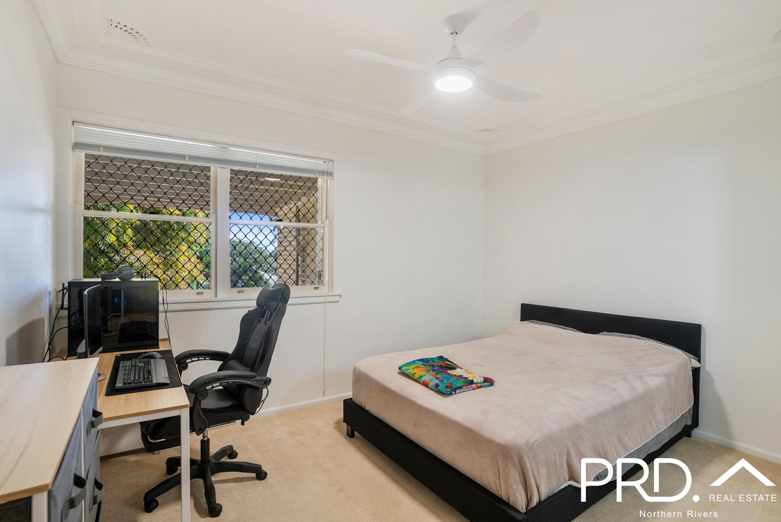 31 Campbell Road KYOGLE 11