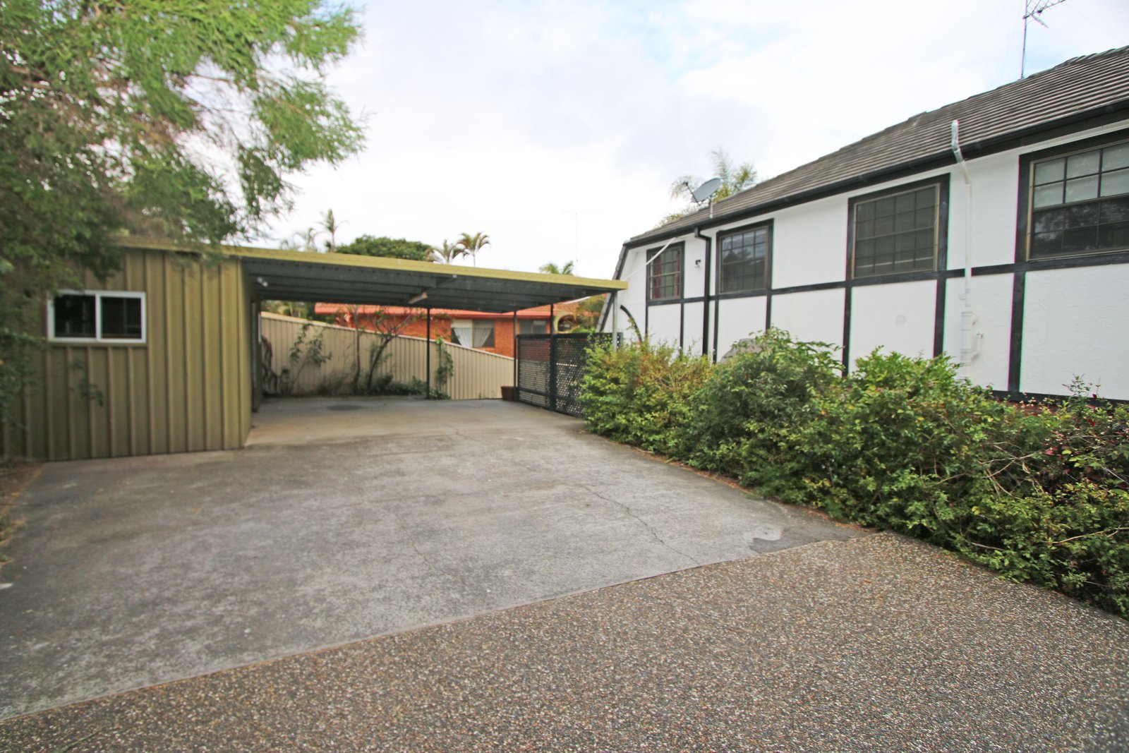 31 Carcoola St.  BENOWA 19