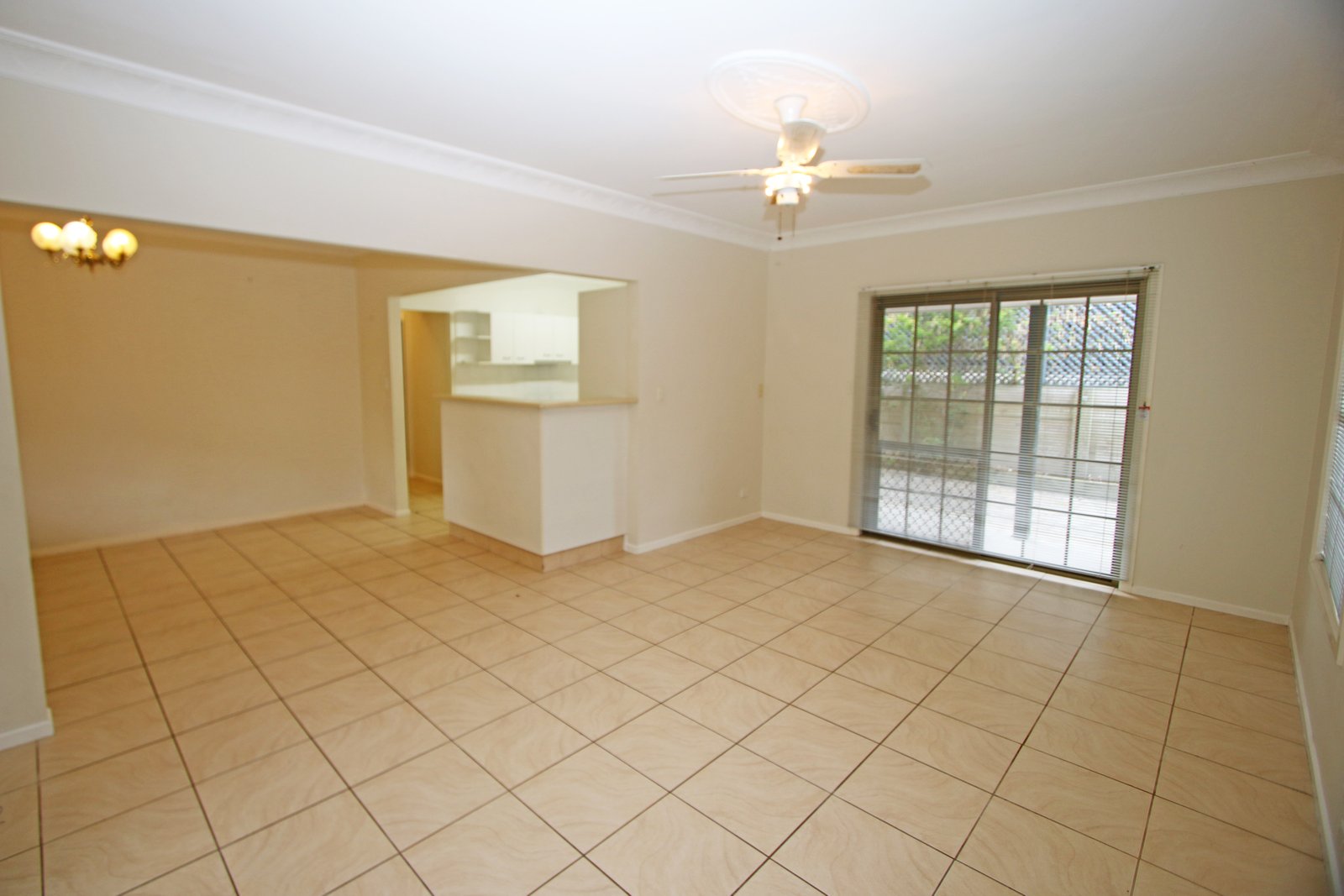 31 Carcoola Street BENOWA 7