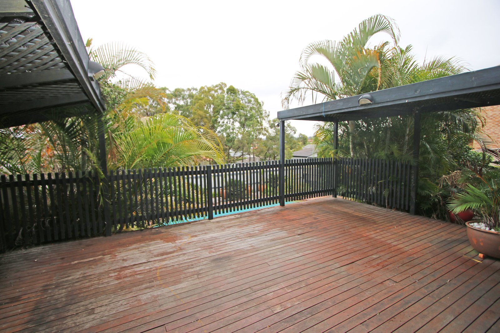 31 Carcoola Street BENOWA 2