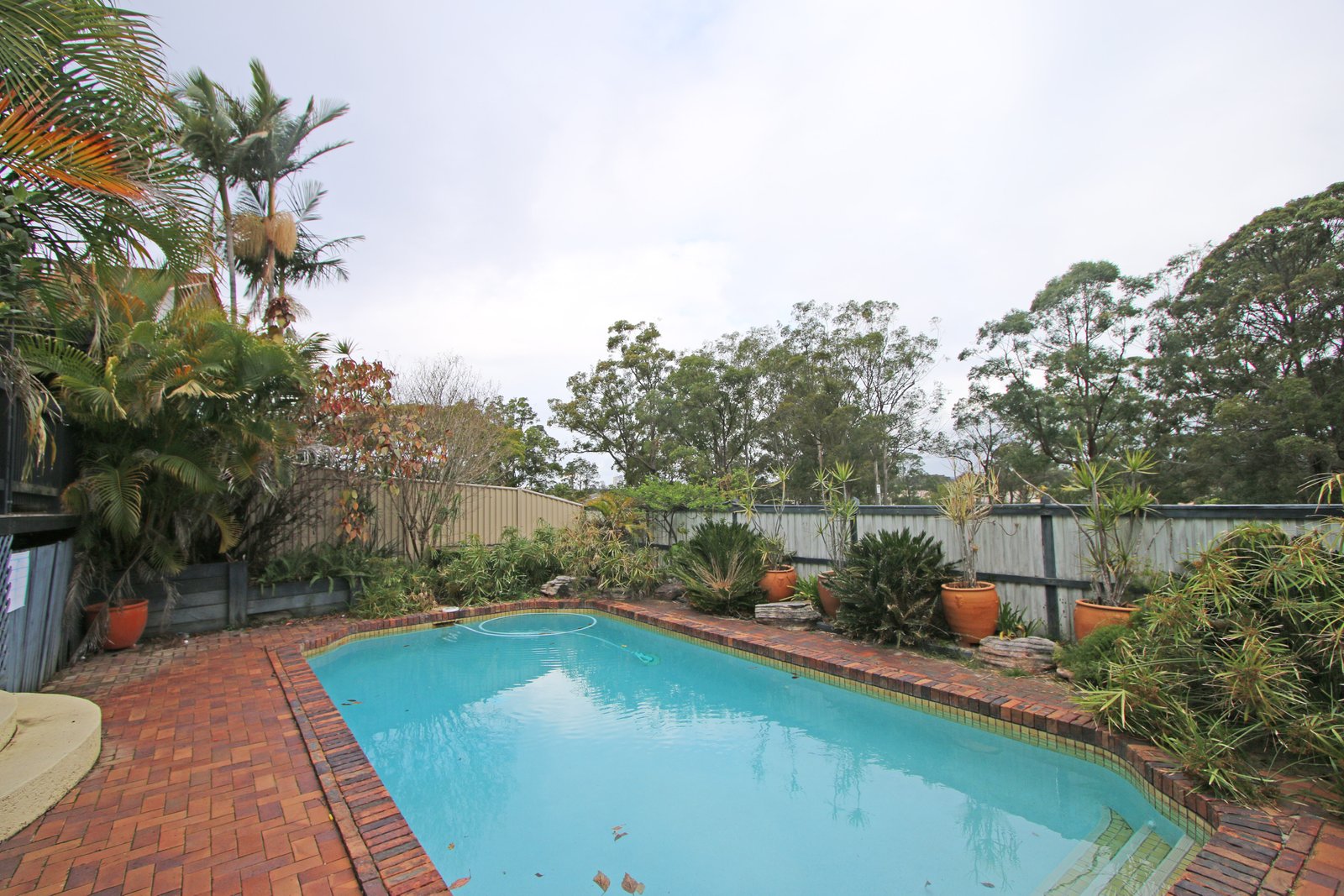 31 Carcoola Street BENOWA 3