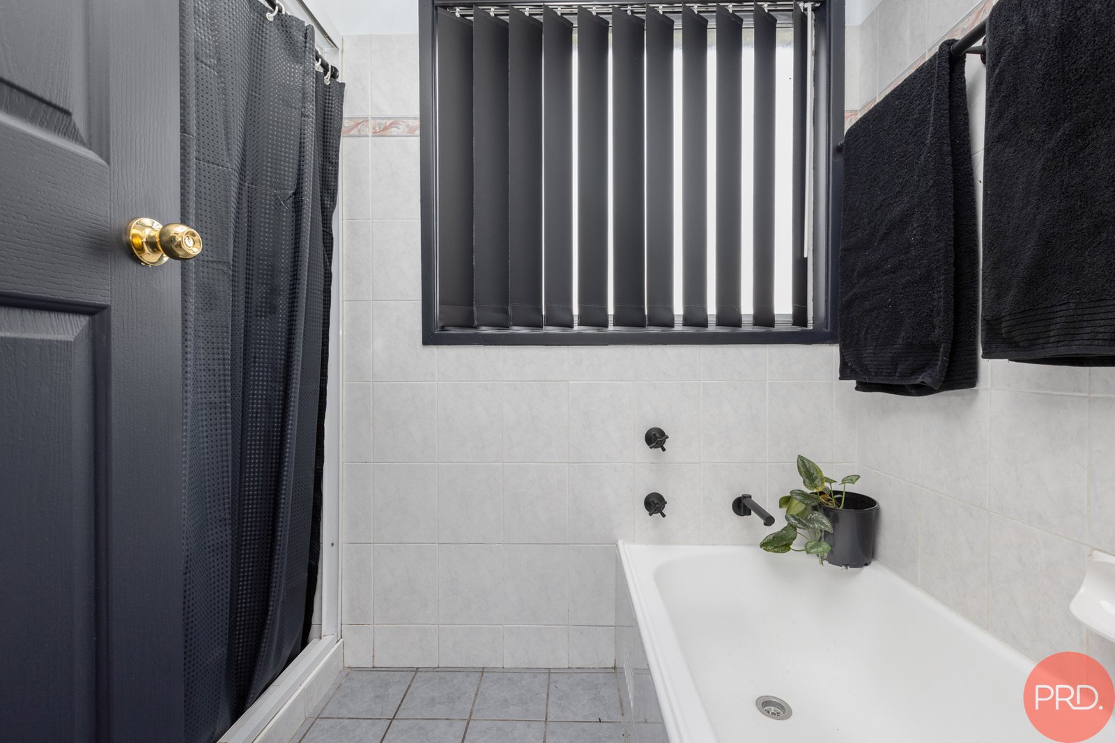 31 Carr Street RUTHERFORD 11