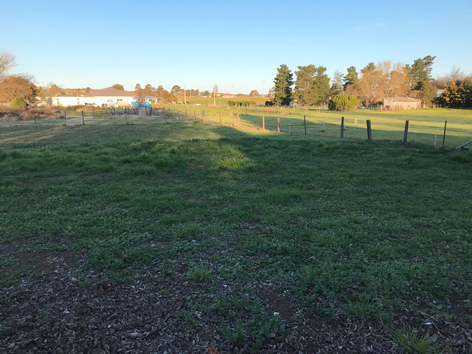 31 Church Street ROSS 23