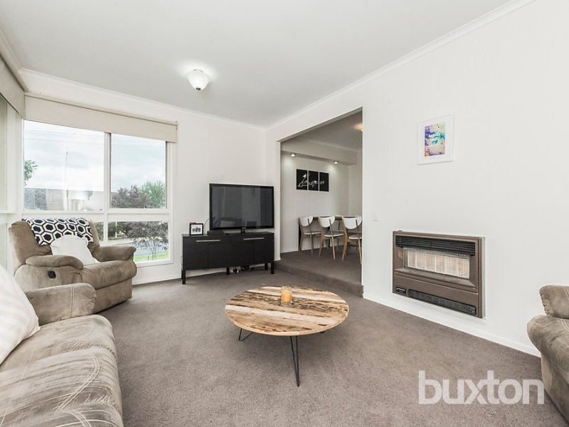 Gallery: 31 Cresta Street