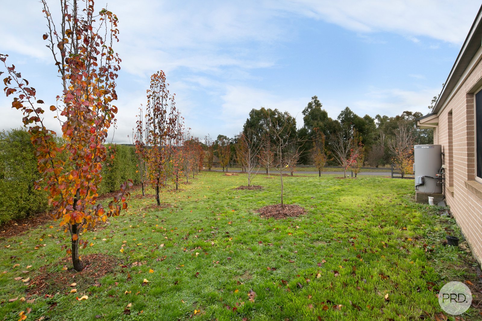 31 Davies Street CRESWICK 15