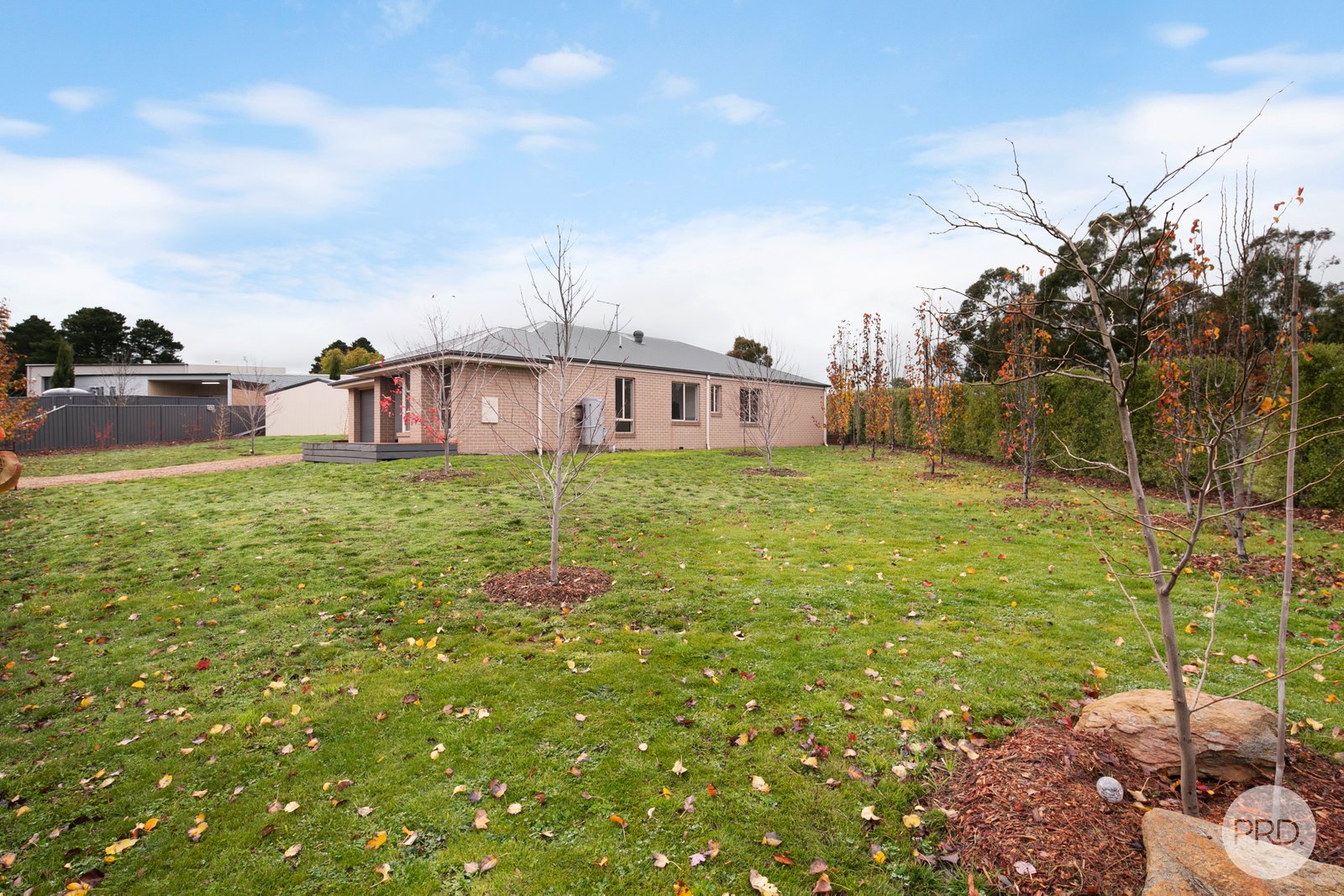 31 Davies Street CRESWICK 16