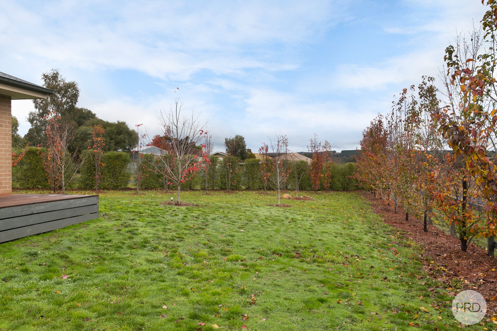 31 Davies Street CRESWICK 17