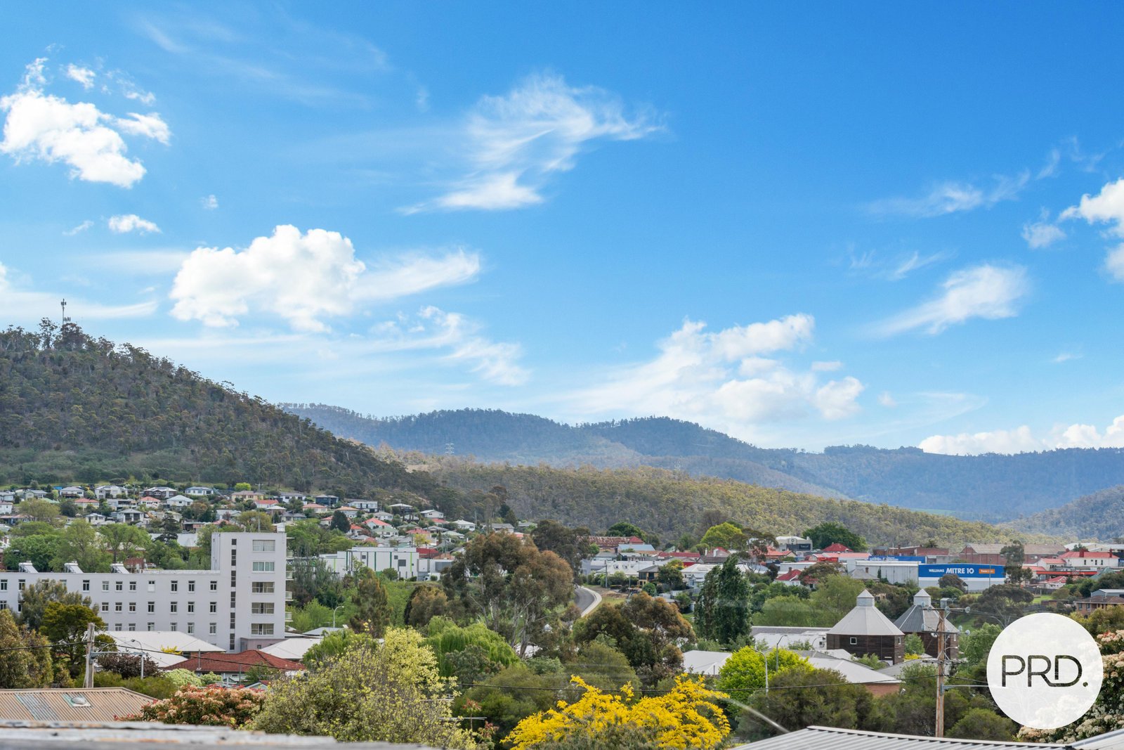 31 Dixon Street NEW NORFOLK 15