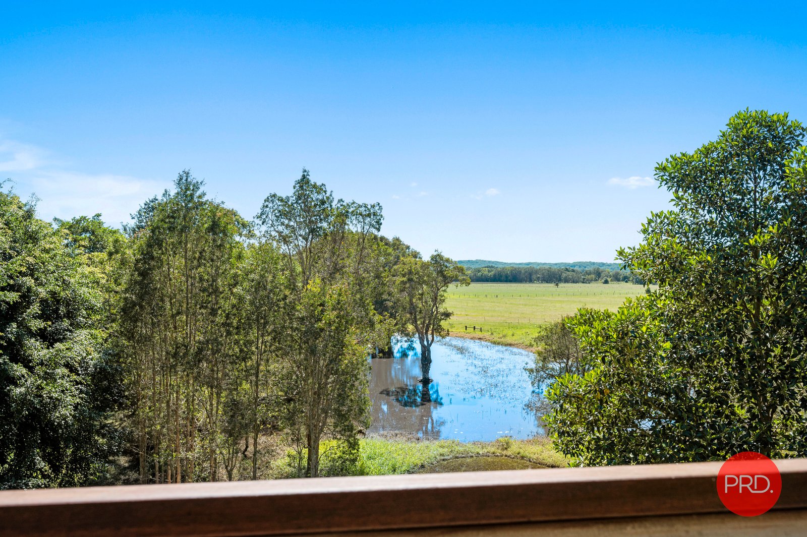 31 Gordon Road RALEIGH 11