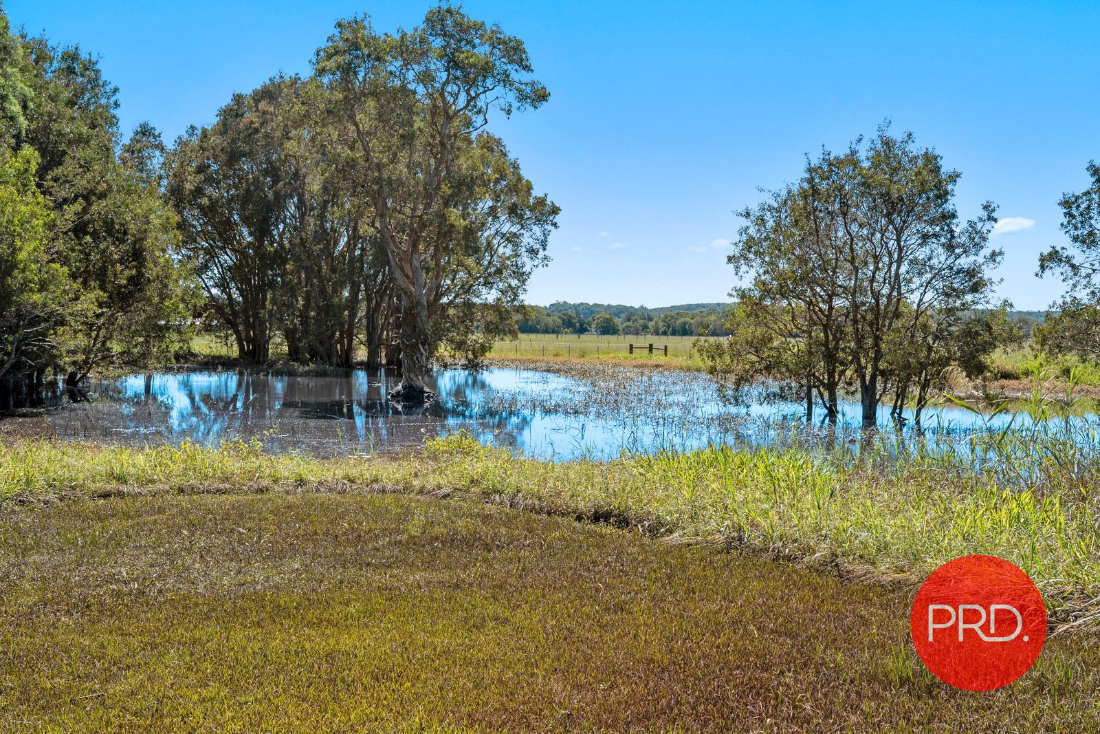 31 Gordon Road RALEIGH 13