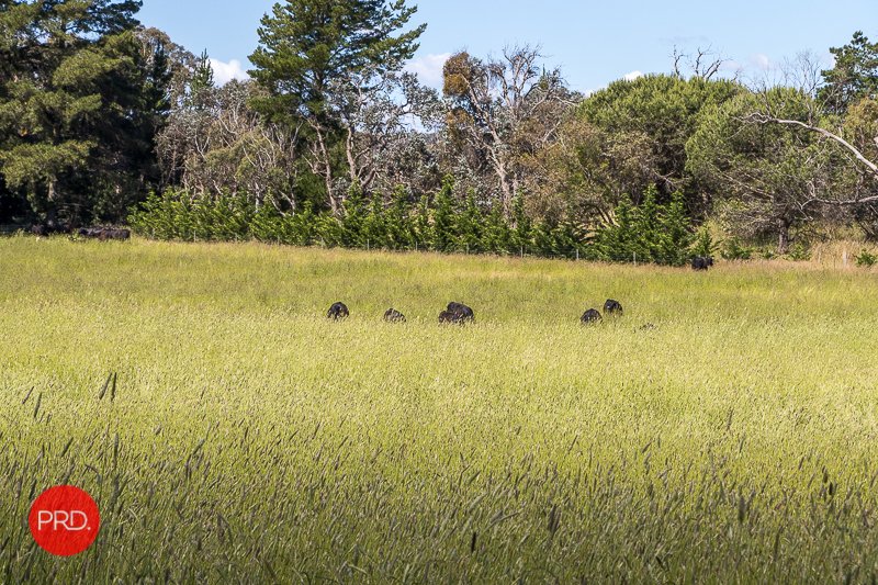 31 Hadlow Drive BYWONG 32