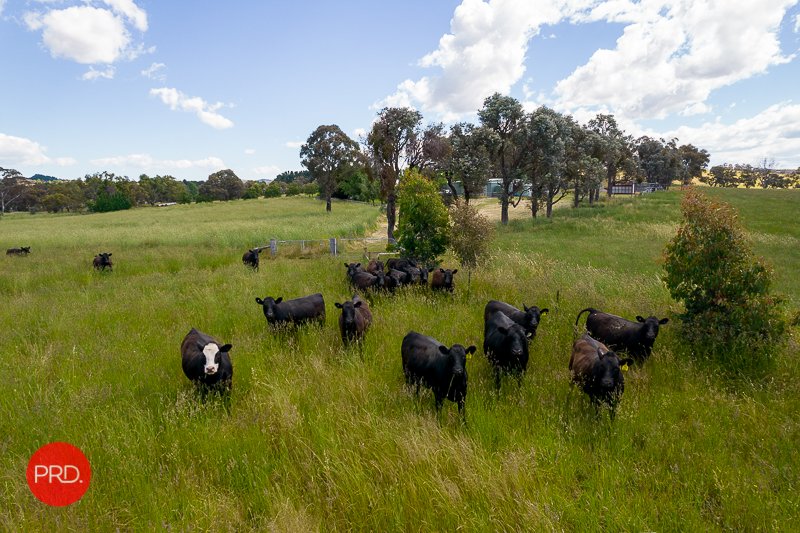 31 Hadlow Drive BYWONG 33