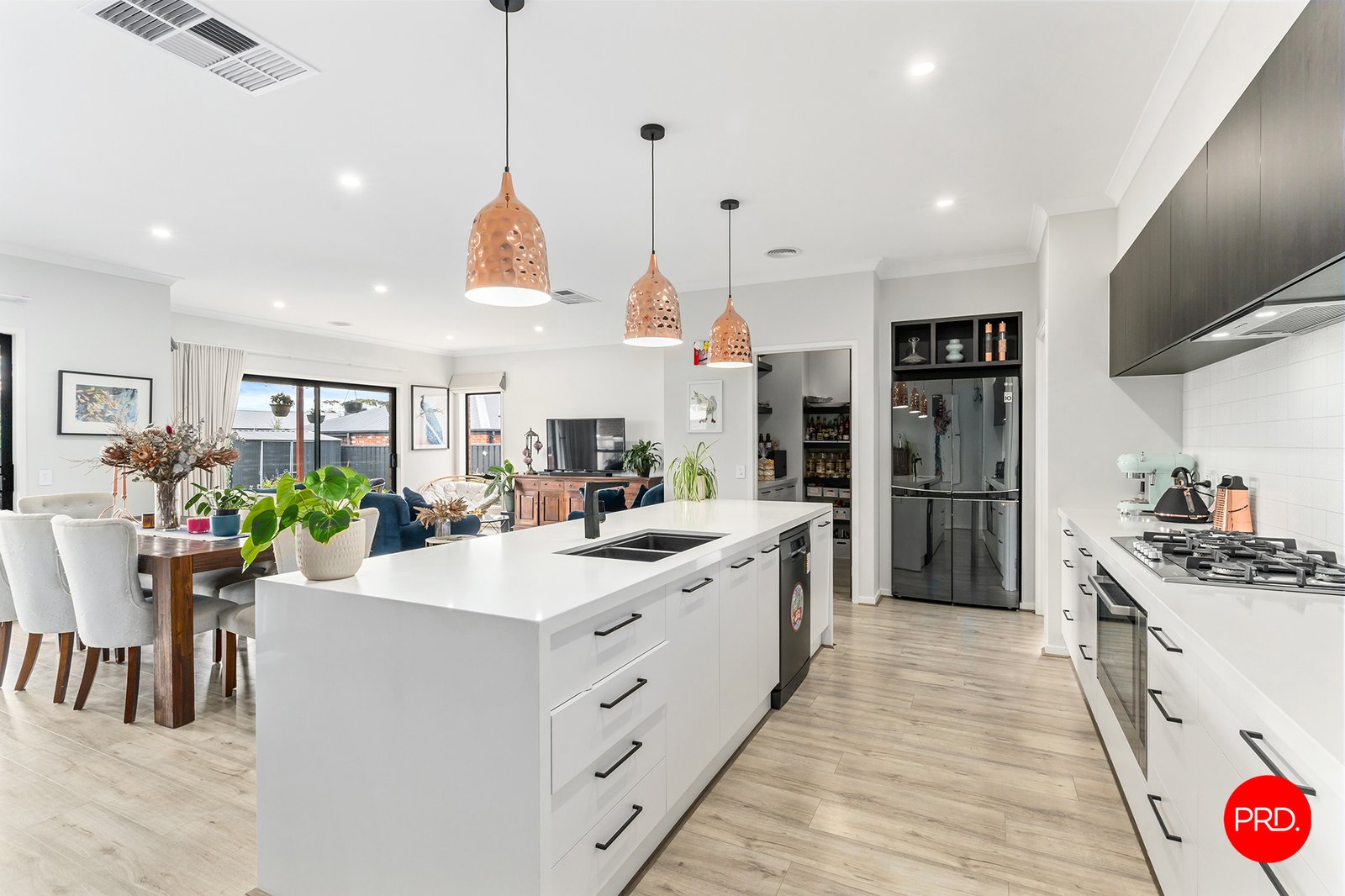 31 Harveys Lane JACKASS FLAT 3