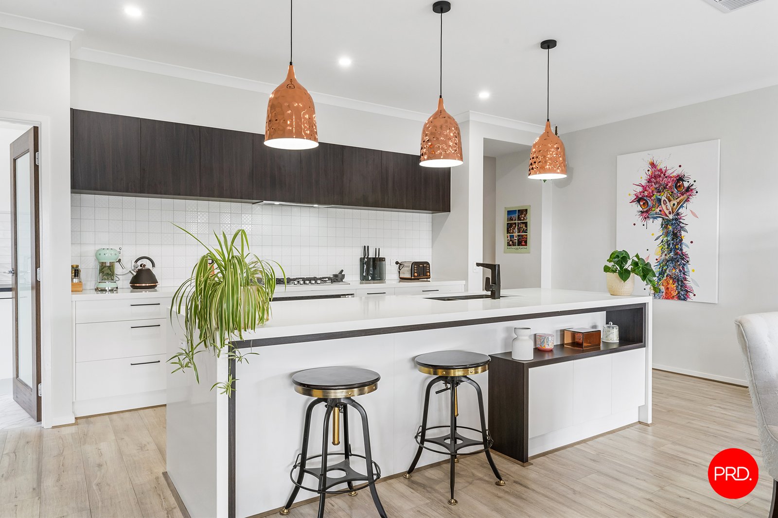 31 Harveys Lane JACKASS FLAT 4