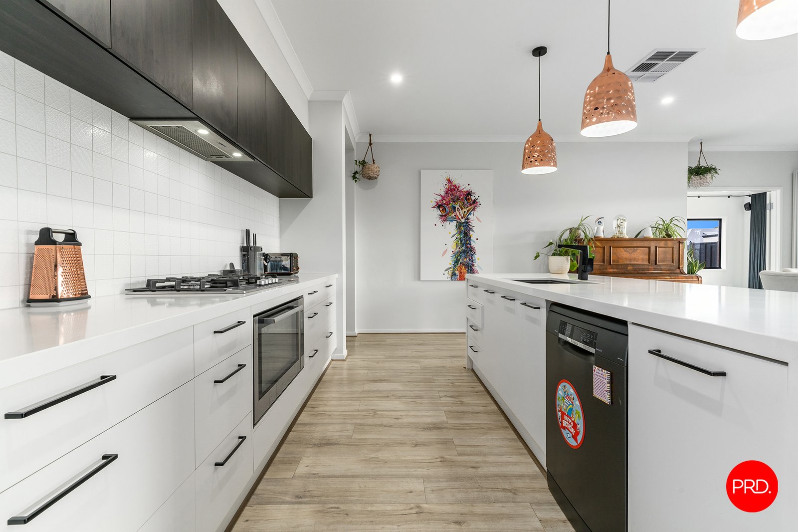 31 Harveys Lane JACKASS FLAT 9