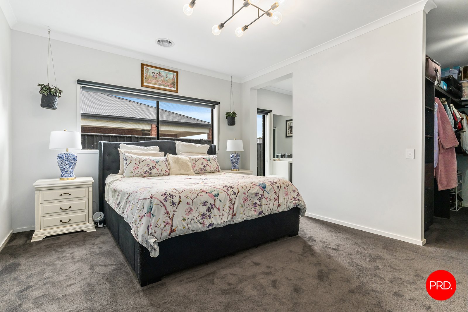 31 Harveys Lane JACKASS FLAT 11