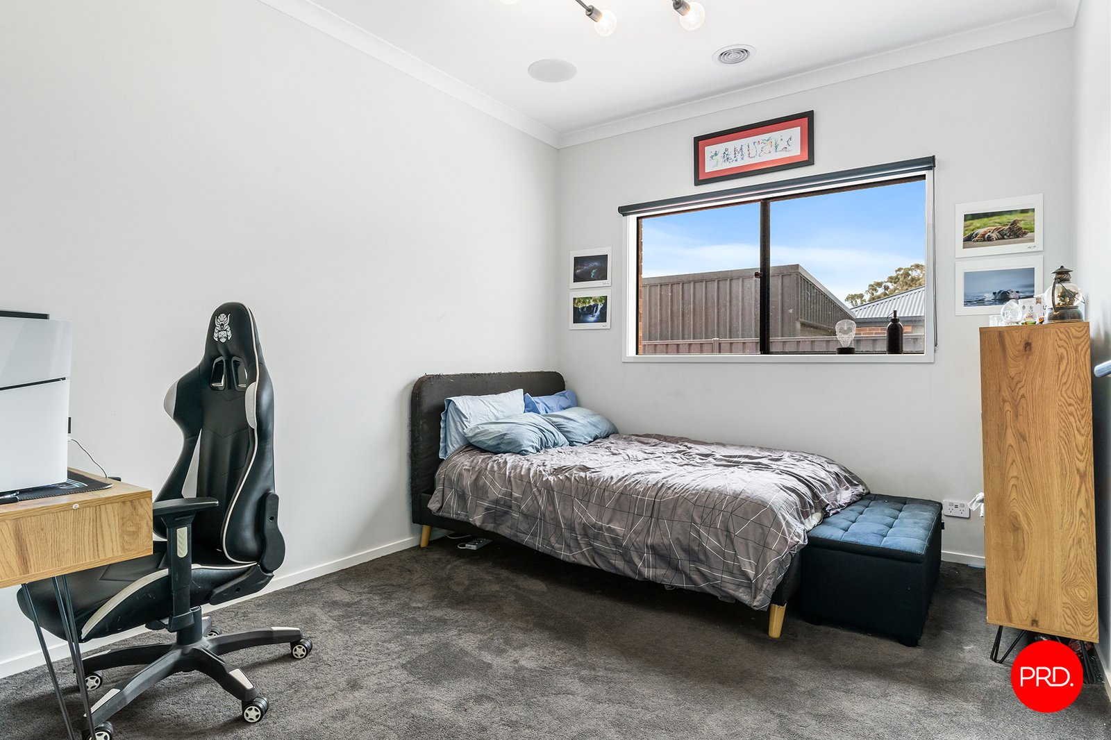 31 Harveys Lane JACKASS FLAT 15