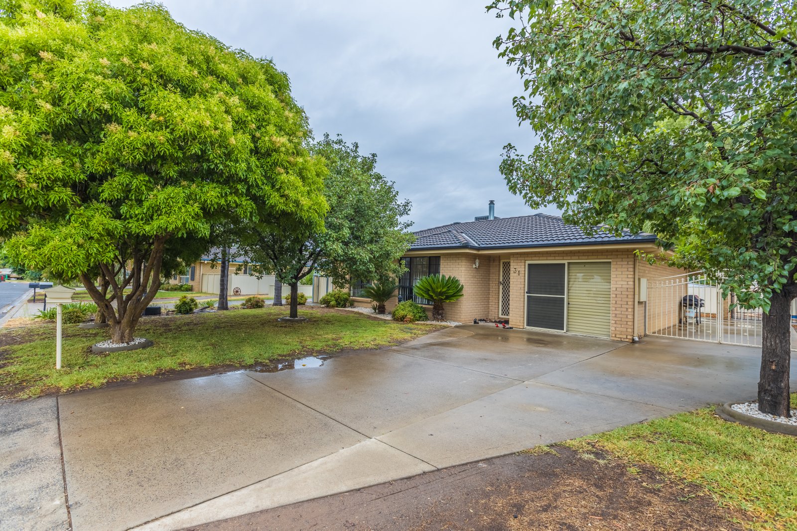 31 Janelle Street TAMWORTH 1