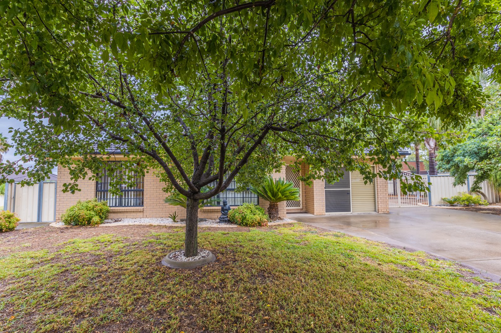 31 Janelle Street TAMWORTH 2