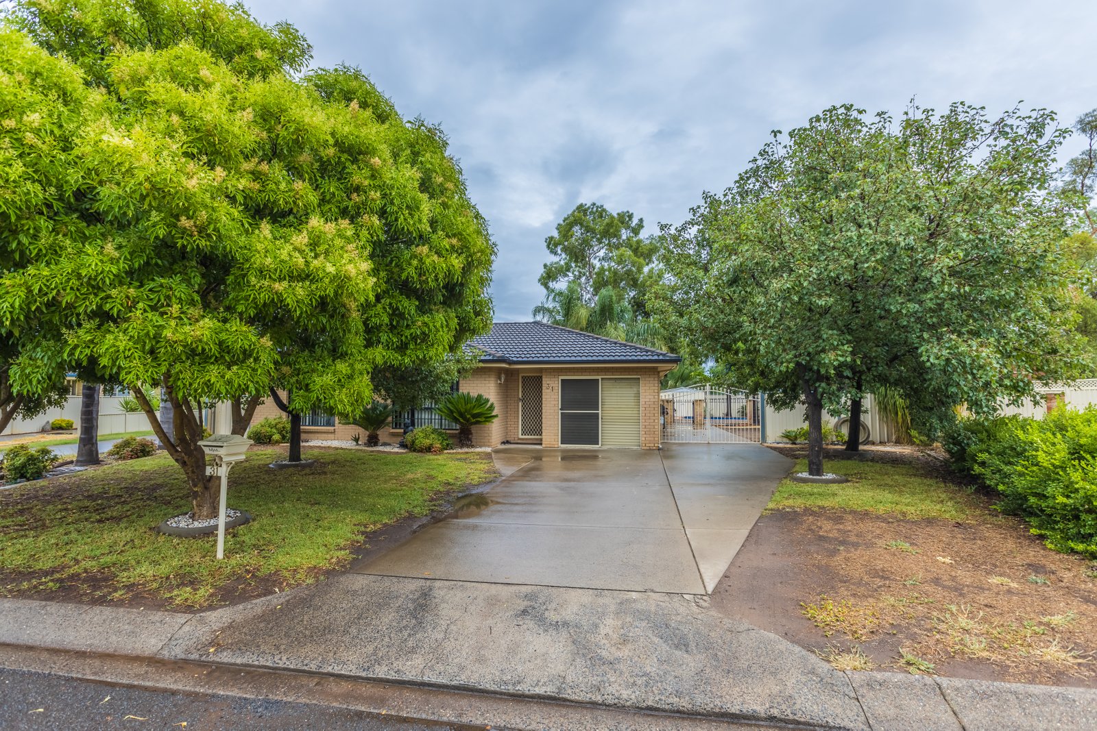 31 Janelle Street TAMWORTH 3