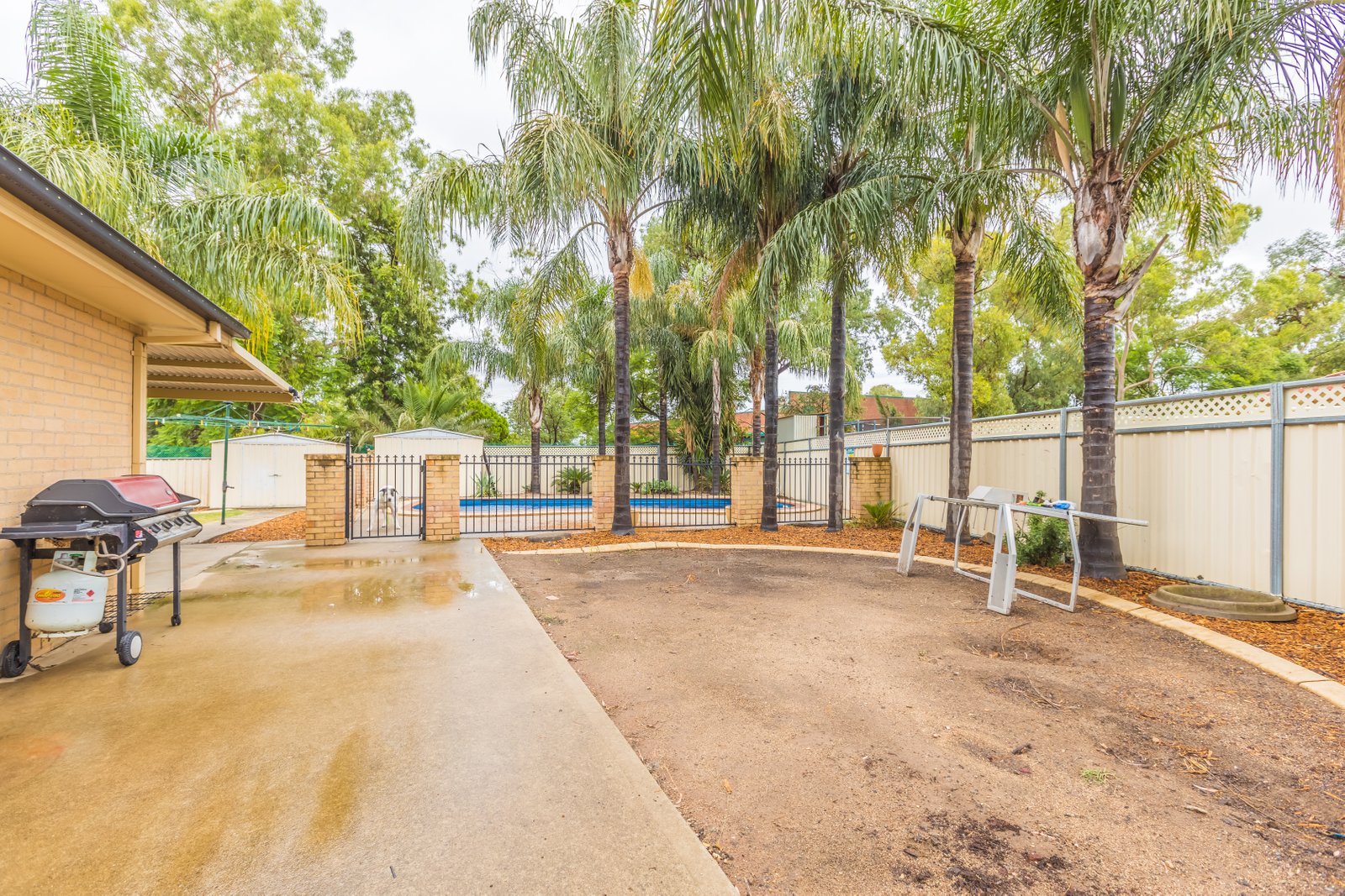 31 Janelle Street TAMWORTH 21