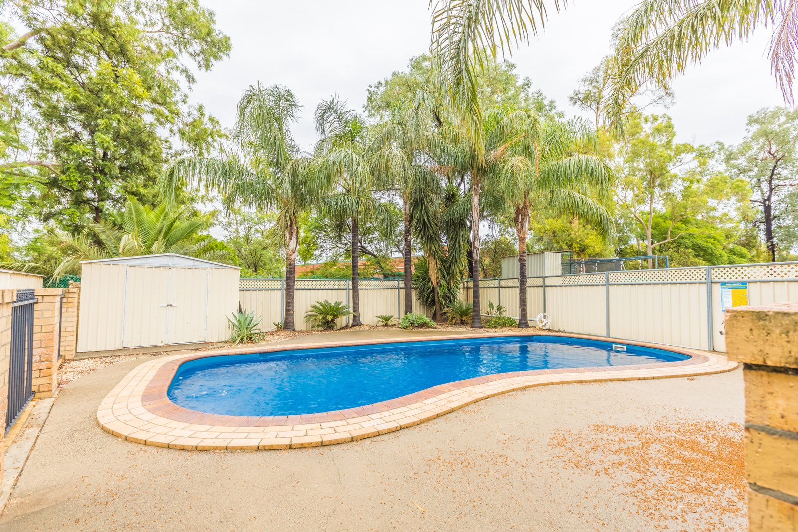 31 Janelle Street TAMWORTH 22