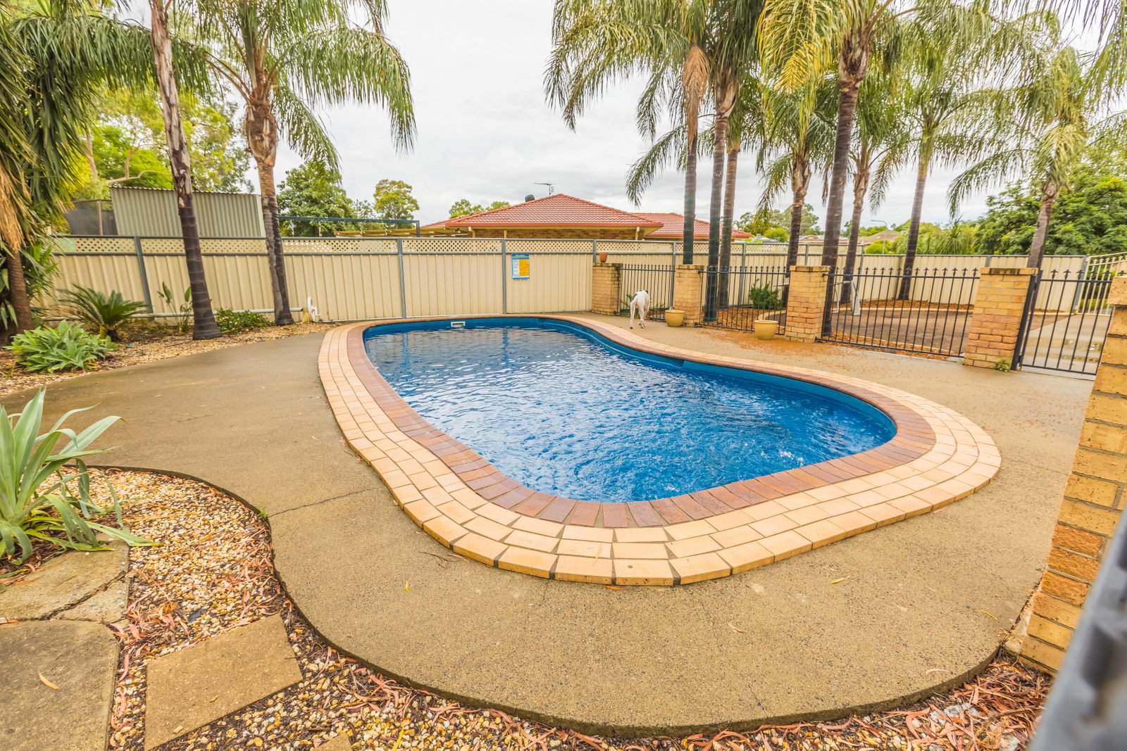 31 Janelle Street TAMWORTH 23