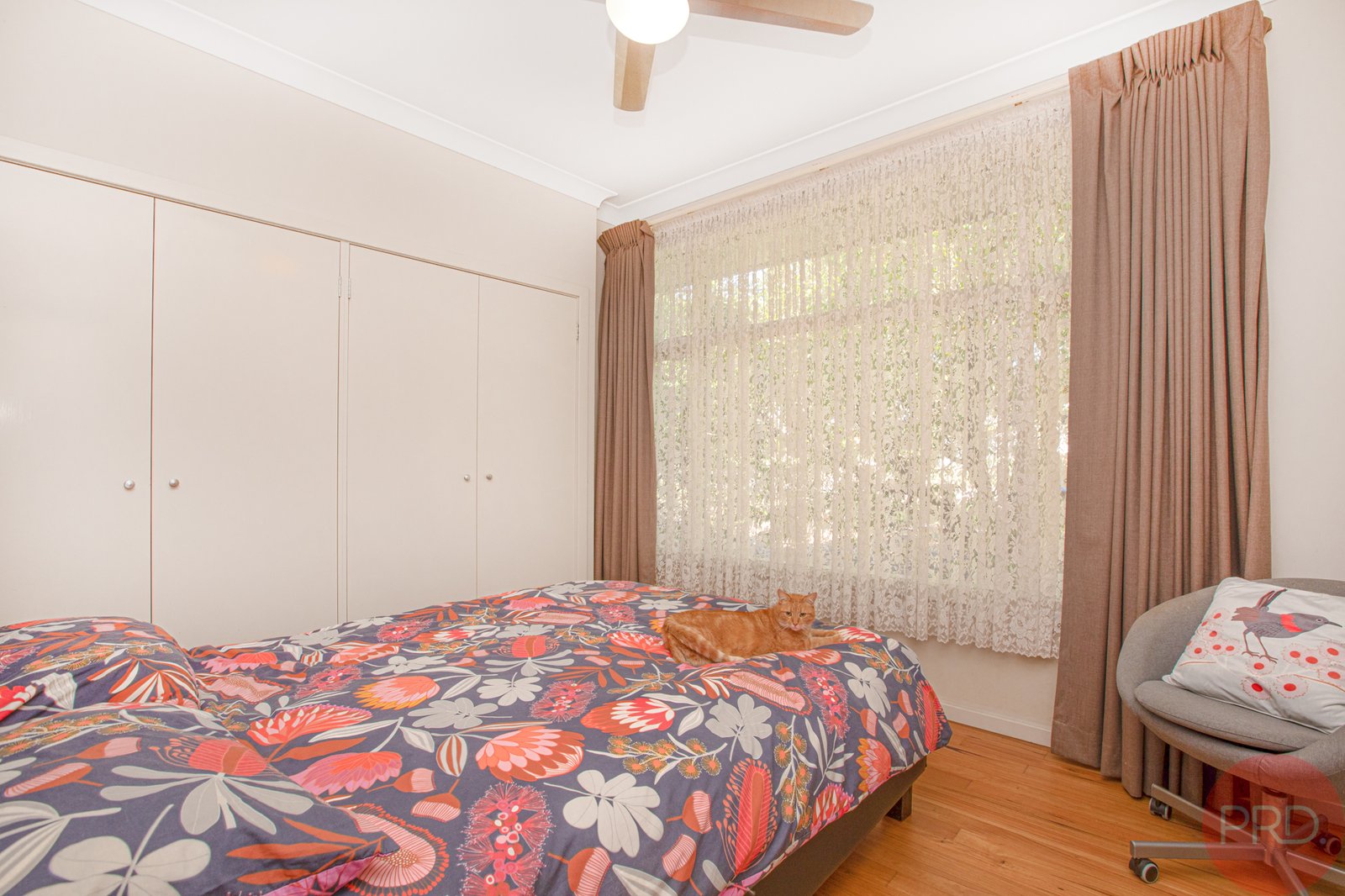 31 Joan Street RUTHERFORD 8