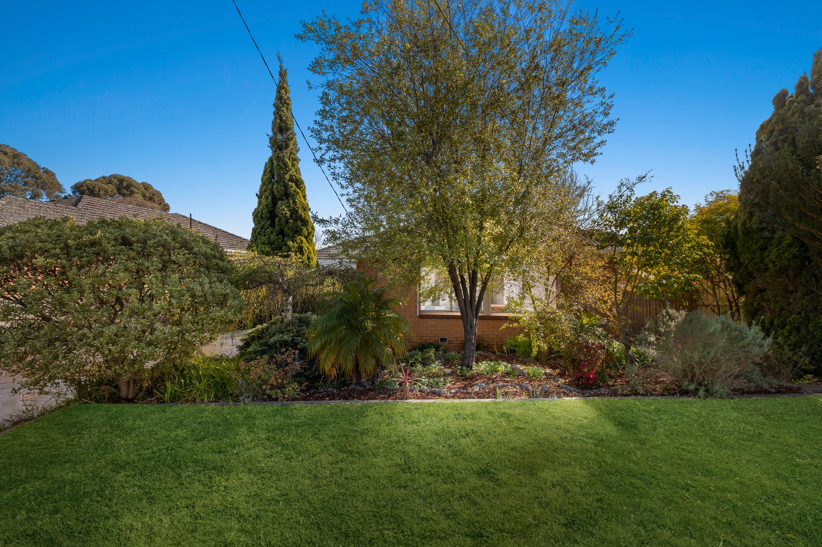 Gallery: 31 Lynden Grove