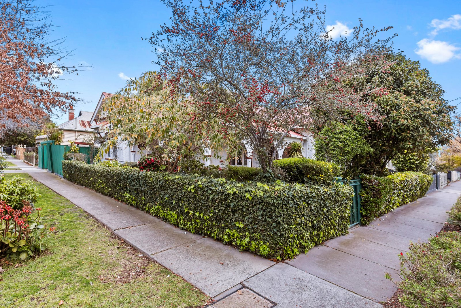 Gallery: 31 Mackay Street