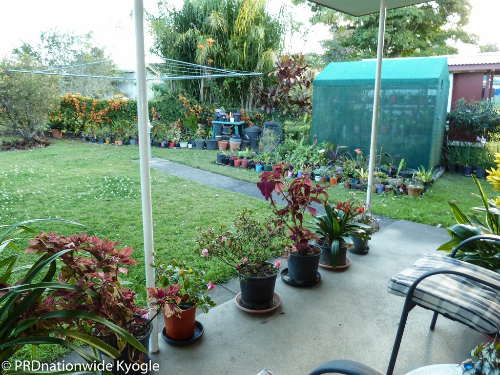 31 Marwick Street KYOGLE 22