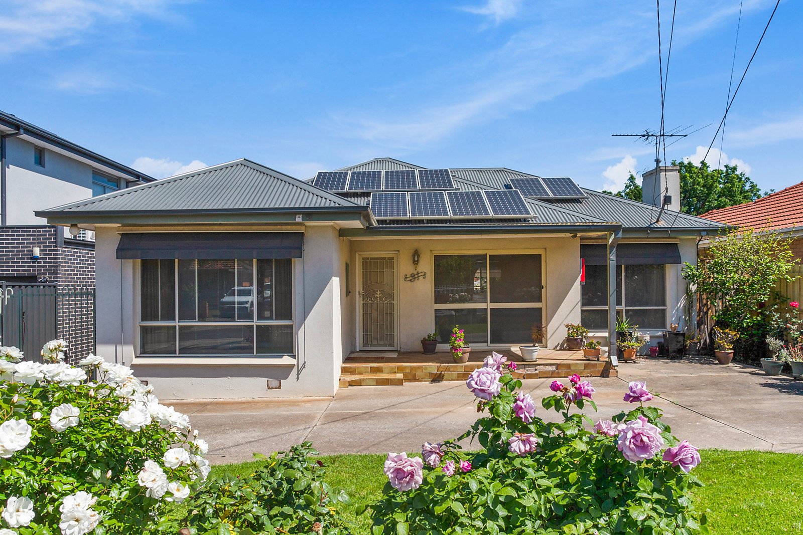 31 Medfield Avenue, Avondale Heights VIC 3034