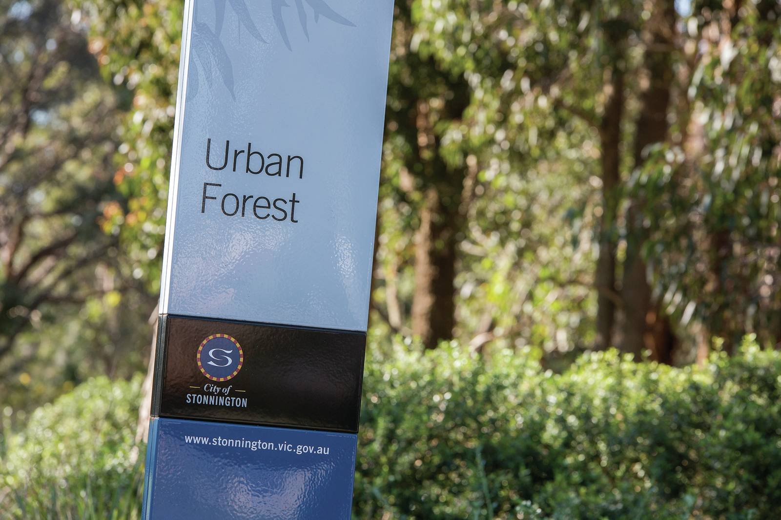 31 Millewa Avenue, Malvern East, VIC