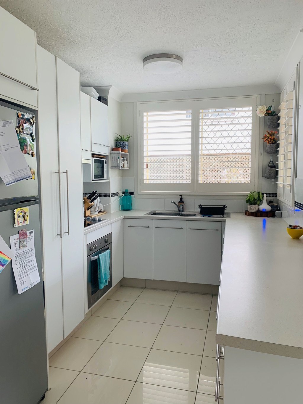 3/1 Rolan Court PALM BEACH 2