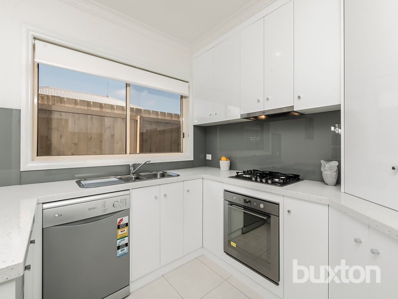 Gallery: 31 Shackleton Street