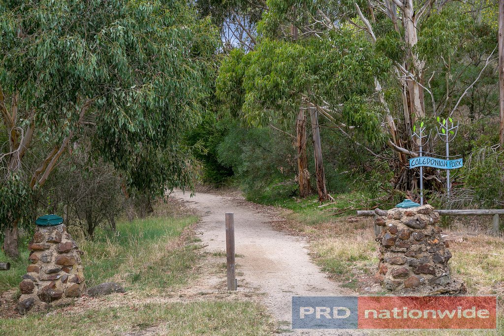 31 Simpson Street BALLAN 12