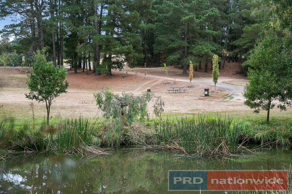 31 Simpson Street BALLAN 13