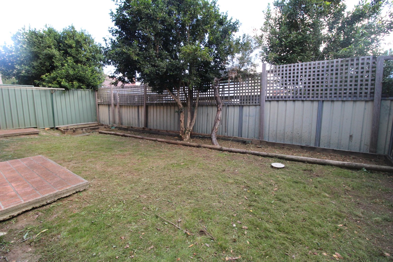 31 Springfield Avenue ROSELANDS 13