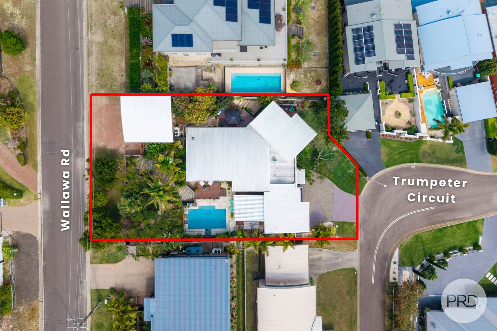 31 Trumpeter Circuit CORLETTE 34