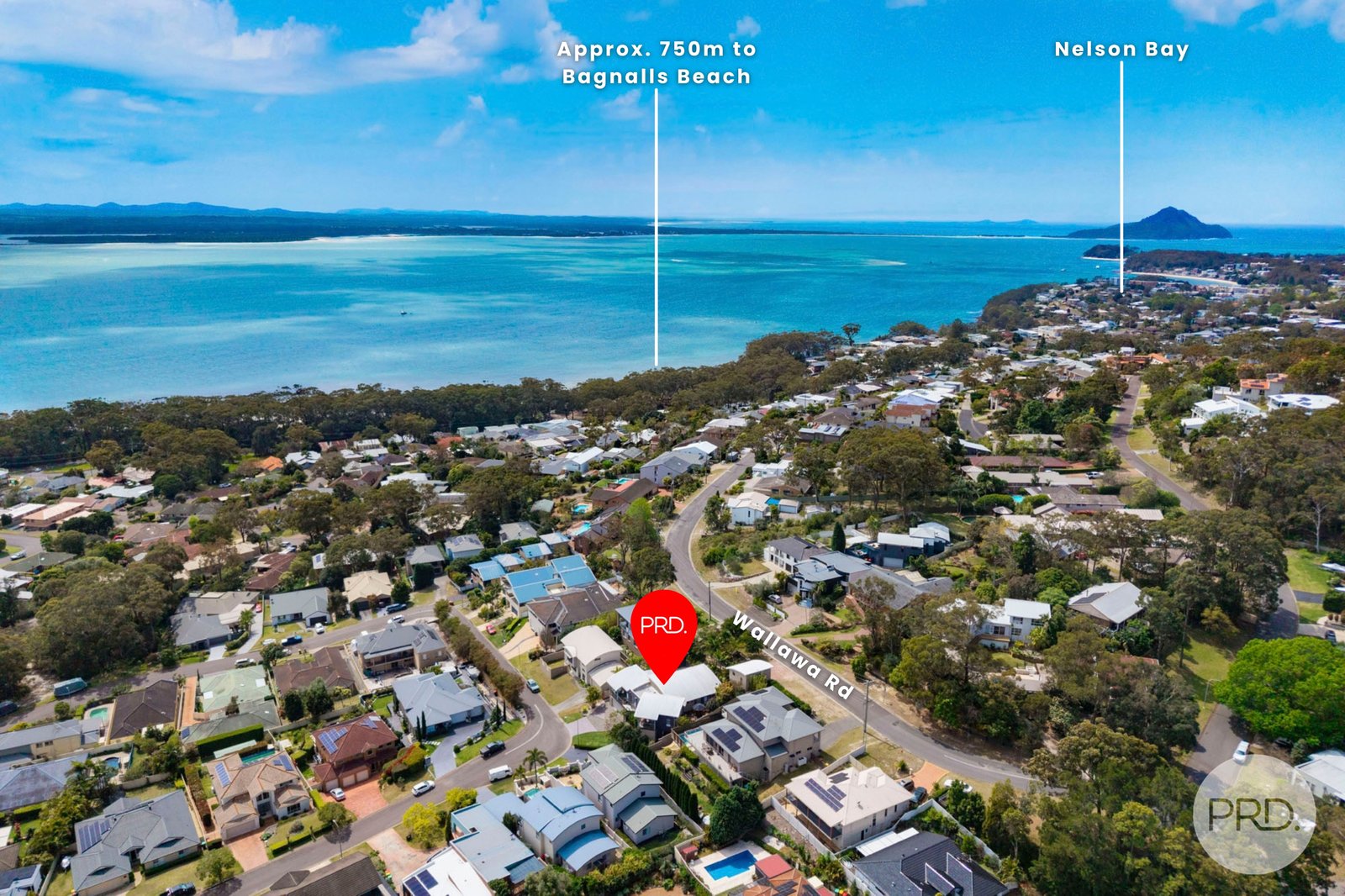 31 Trumpeter Circuit CORLETTE 35