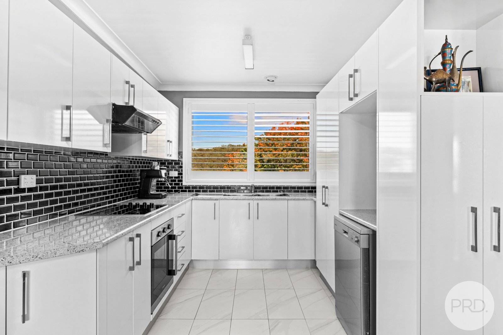 31 Whitbread Drive LEMON TREE PASSAGE 8